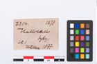 Etikett zu Bronzeangelhaken (NHMW-PRAE-002314)